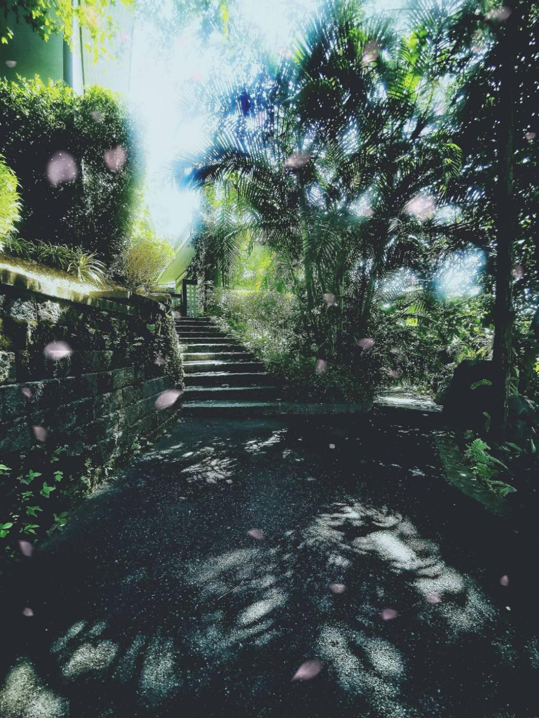 Bangnu Greenery Resort Takua Thung Esterno foto