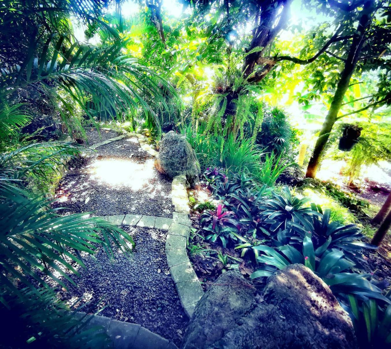 Bangnu Greenery Resort Takua Thung Esterno foto