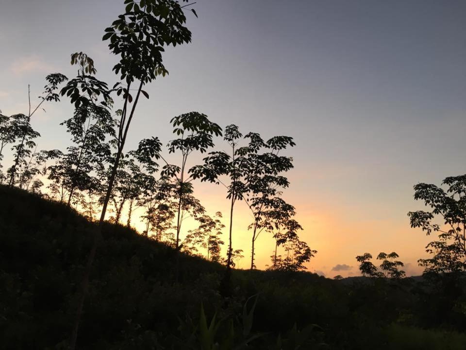 Bangnu Greenery Resort Takua Thung Esterno foto